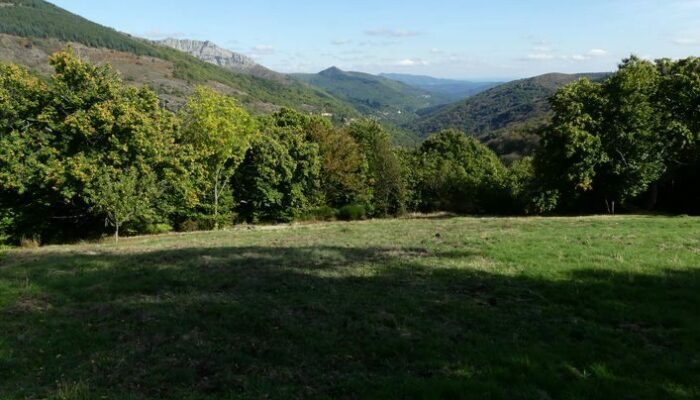 Image 0 : Col de Banette - VTT n°3