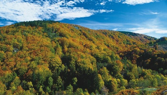 Image 1 : Le toit des Cévennes - VTT n°14